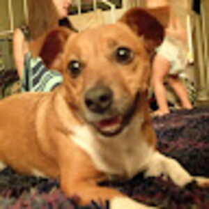 Meet your Posher, Casey